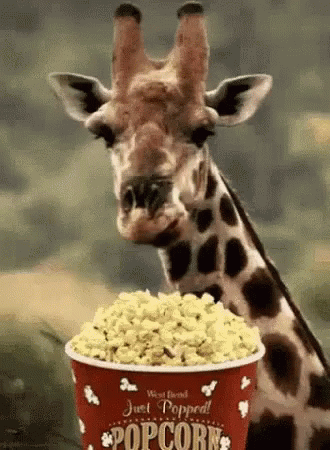1764986831092.gif