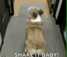 1765937413613.gif