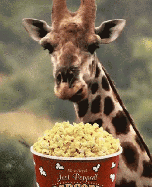 1783406247024.gif