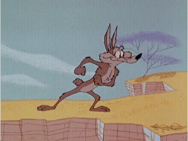 1791603428182.gif