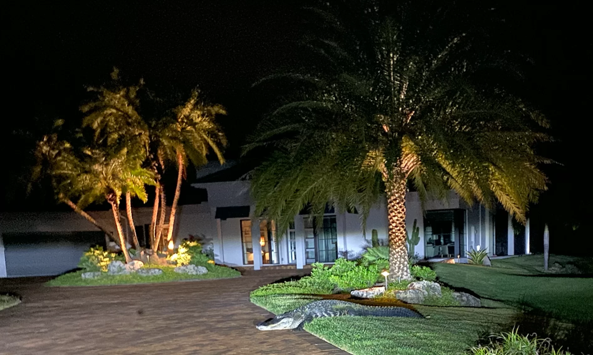DrivewayGator.webp