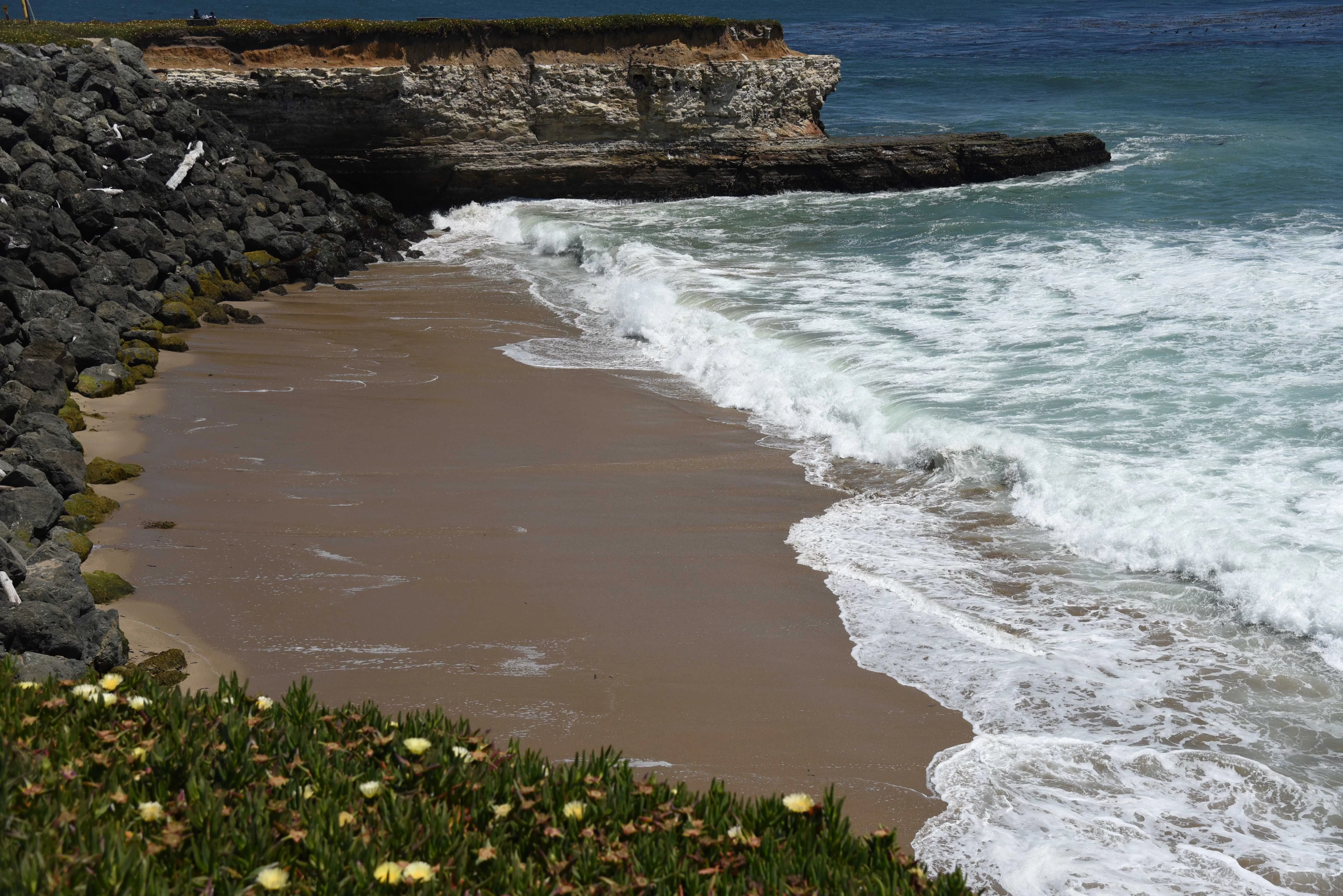 DSC_2107.webp