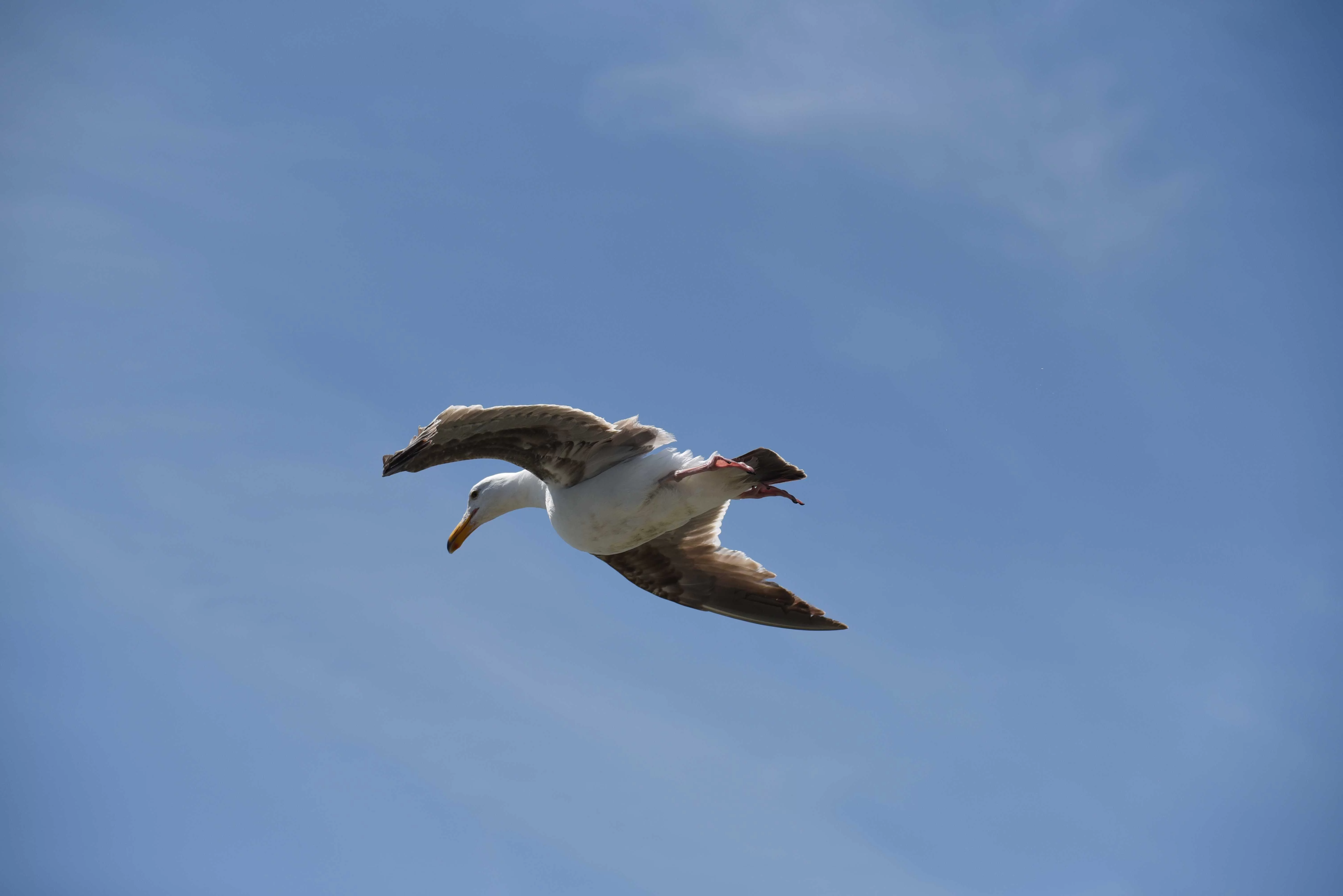 DSC_2143.webp