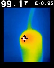 FLIR00056.webp