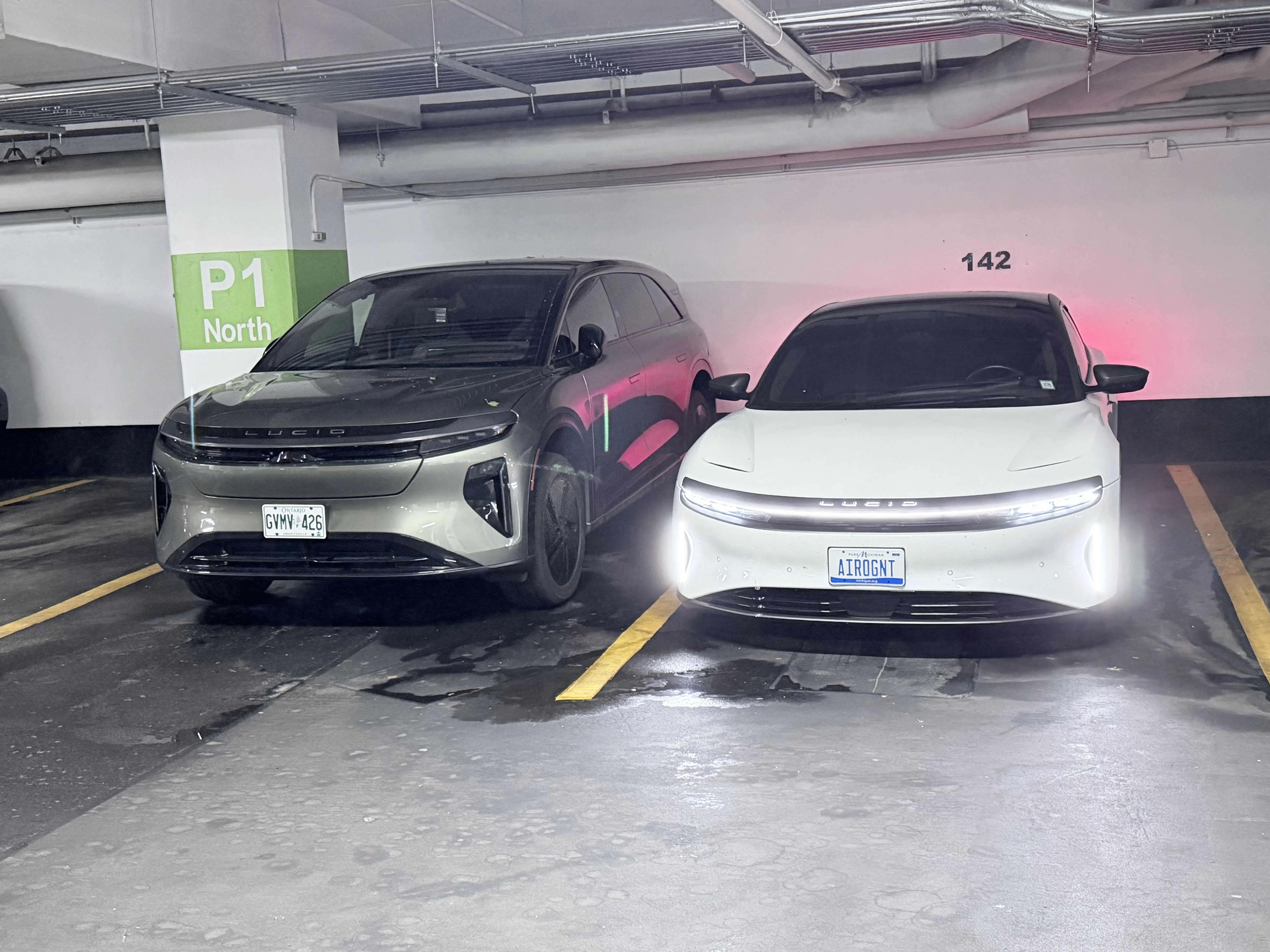 Found a friend - Toronto 2026.webp