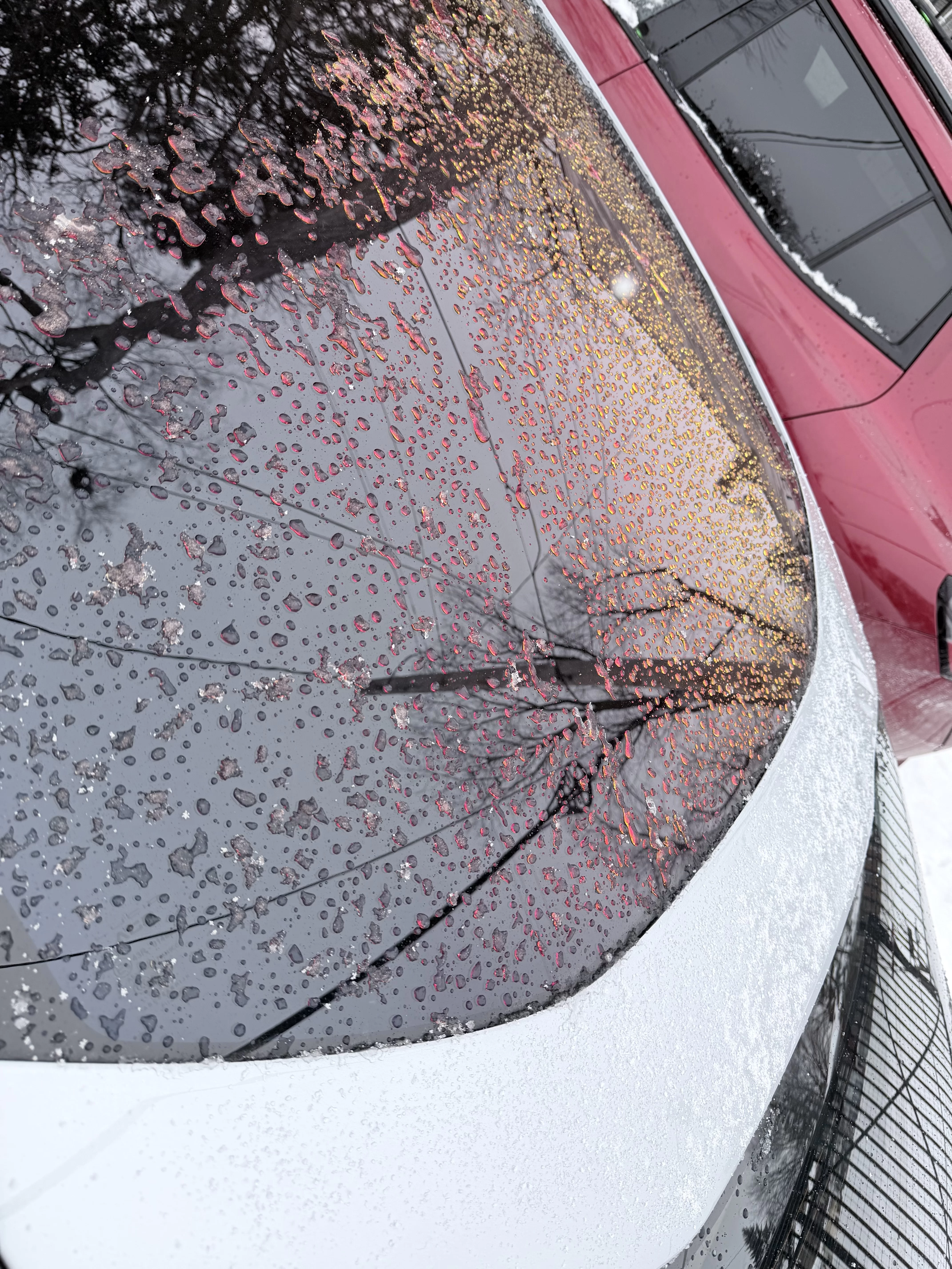 Ice on the roof.webp