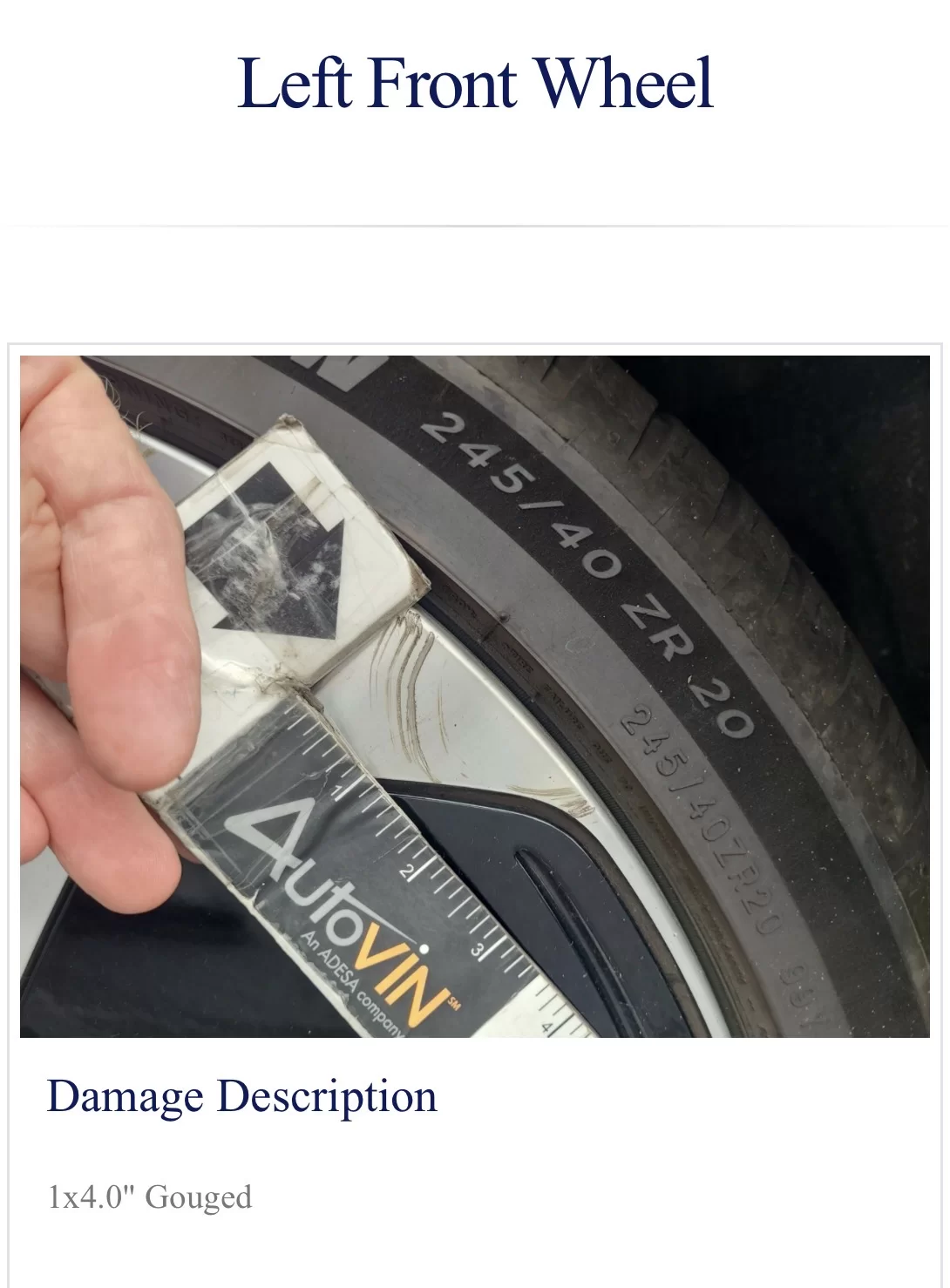 IMG_0337.webp