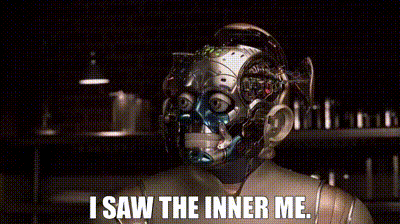 IMG_2811.gif