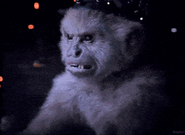 lex-monkey-monkey-lex.gif