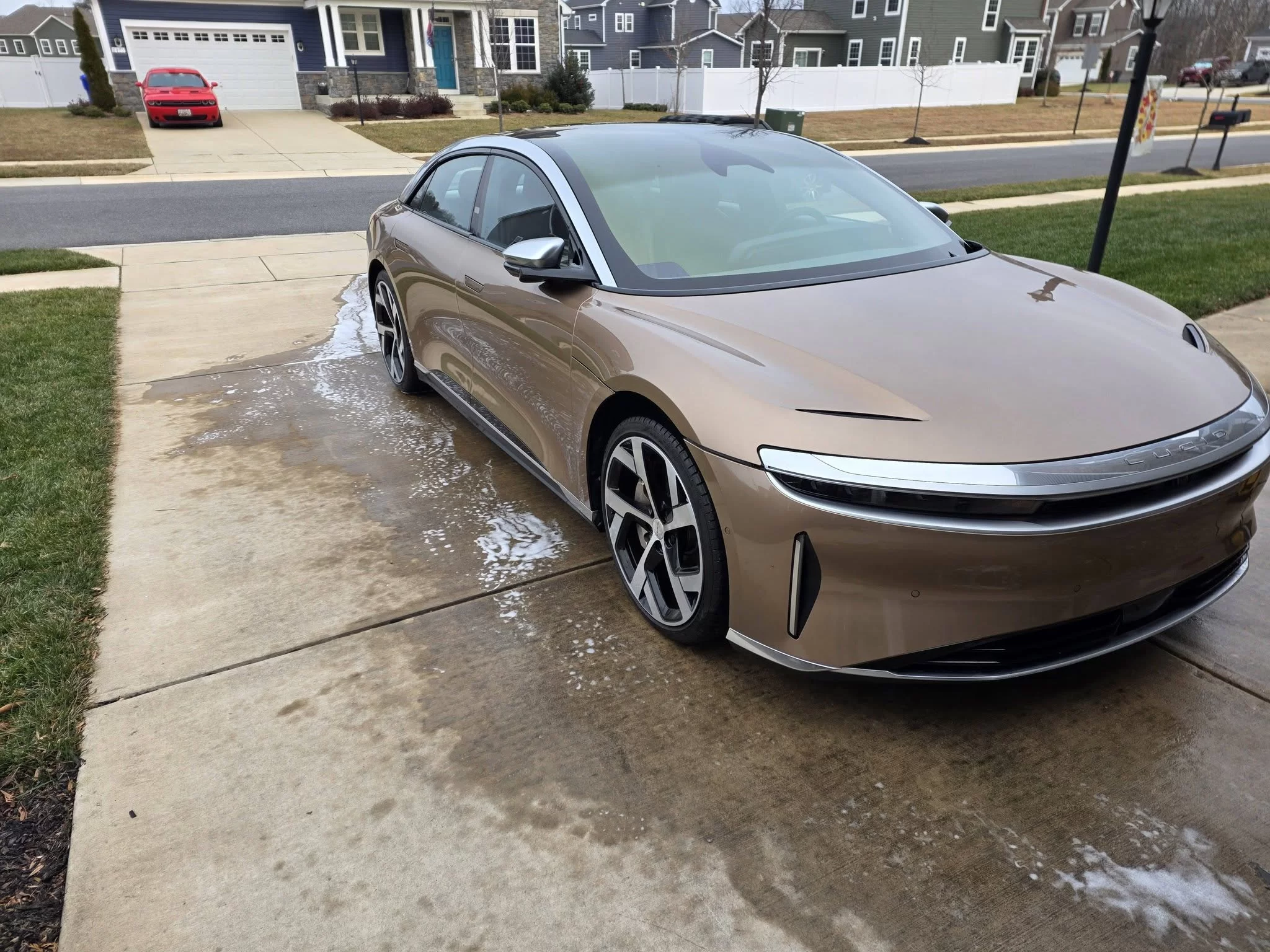 lucid front side.webp