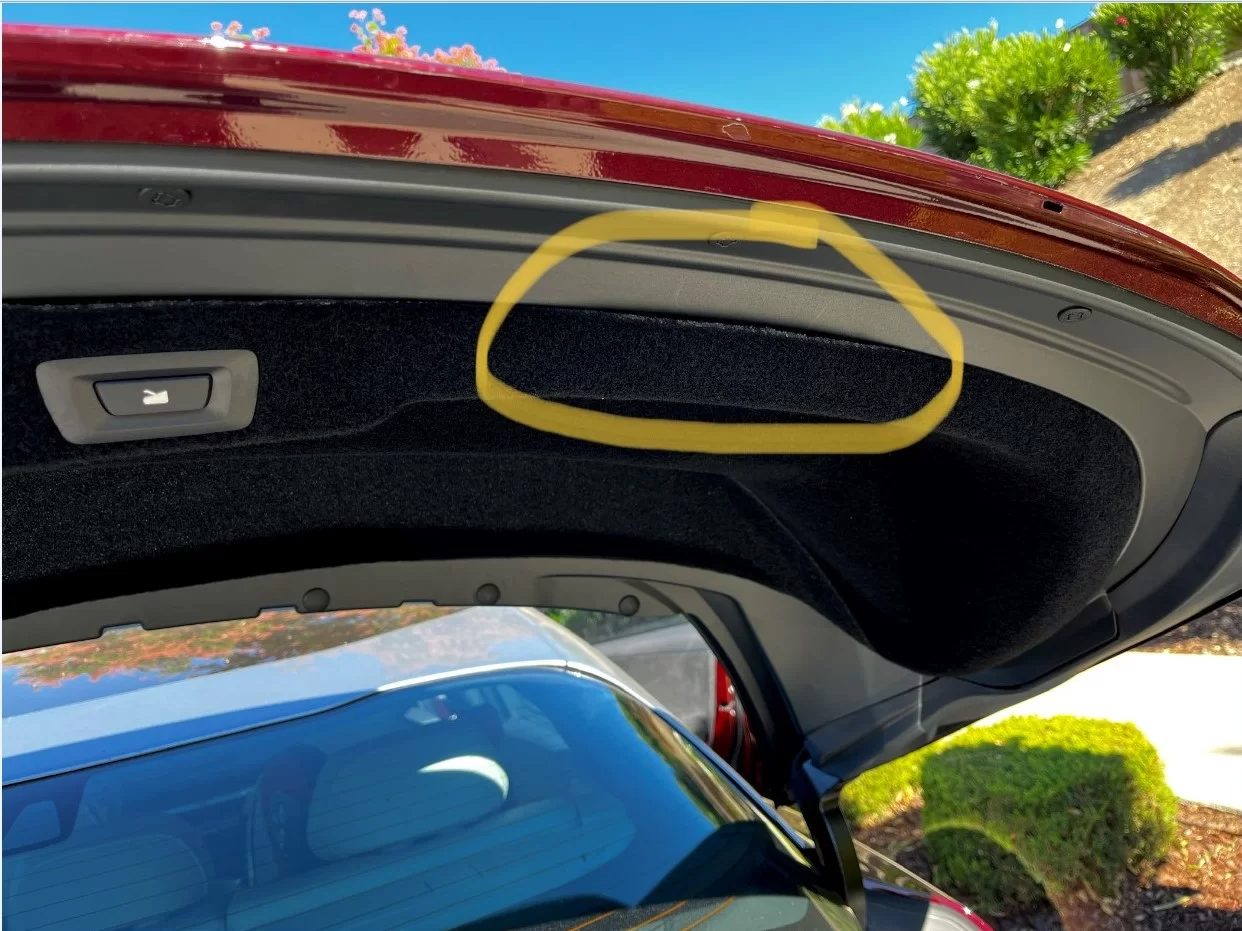 lucid_trunk1.webp