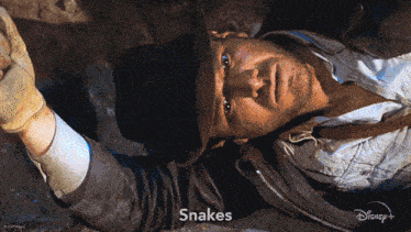 snakes-why'd-it-have-to-be-snakes-indiana-jones.gif