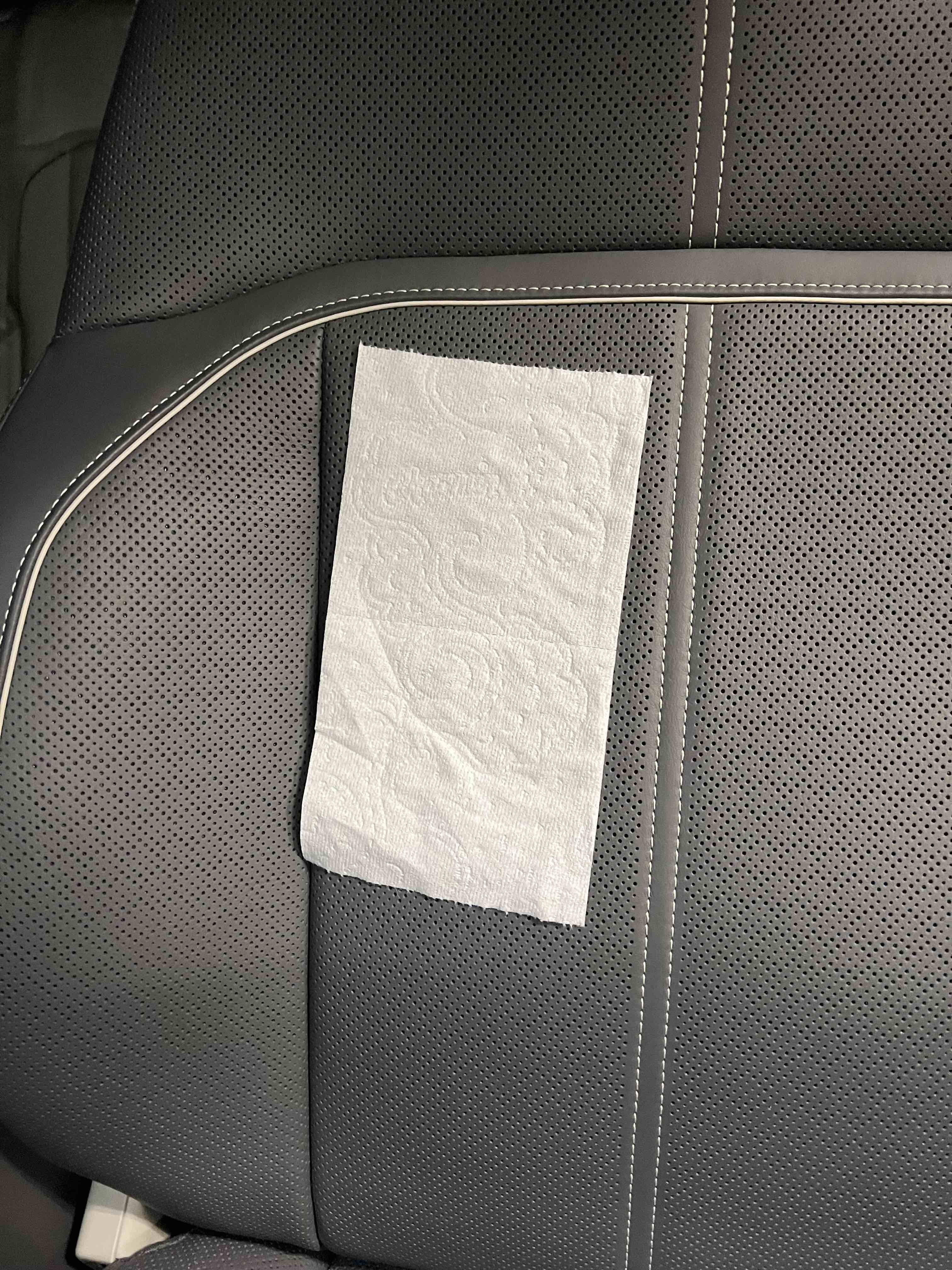 Toilet paper clinging to ventilated seat.jpg