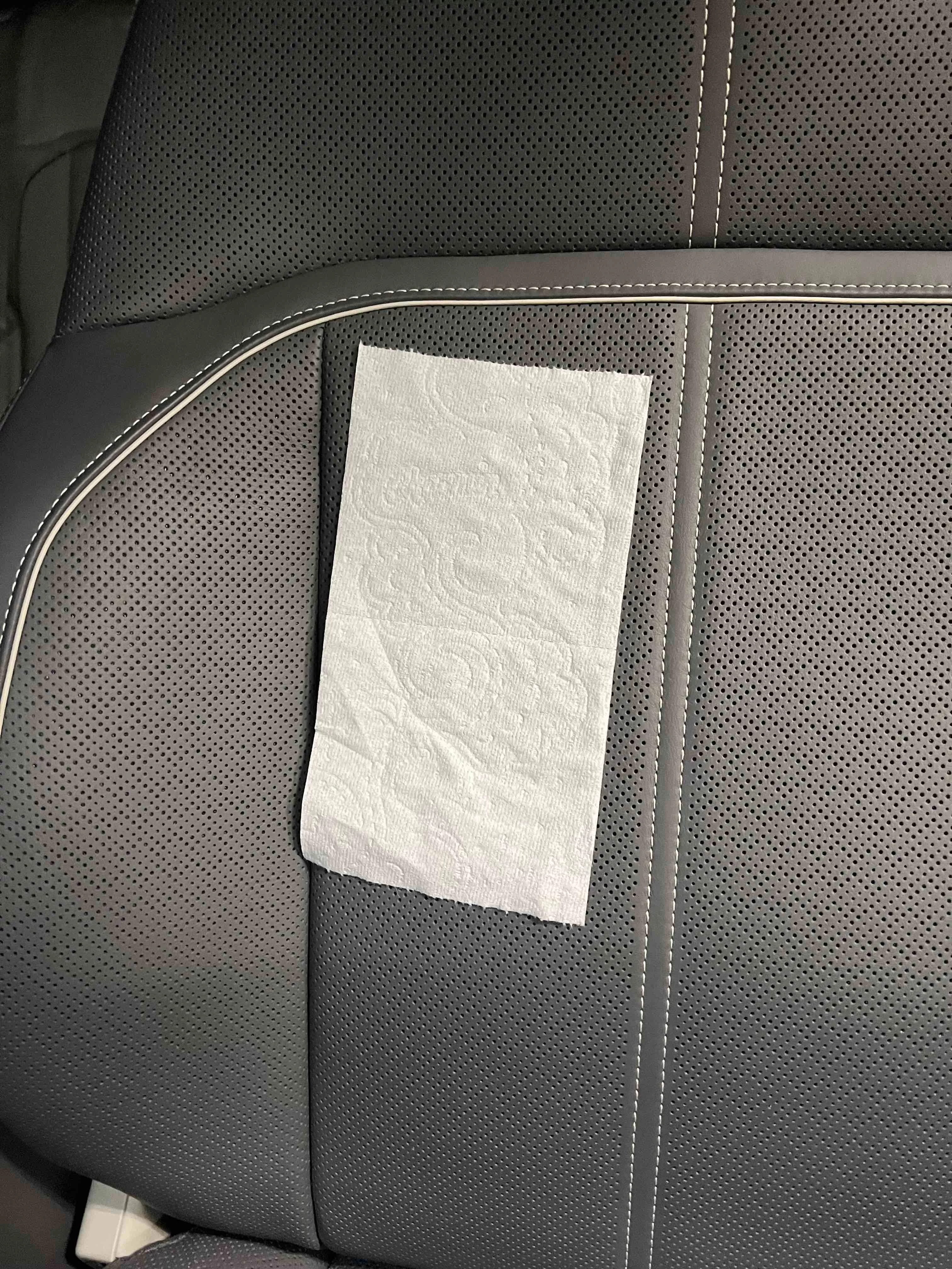 Toilet paper clinging to ventilated seat.webp