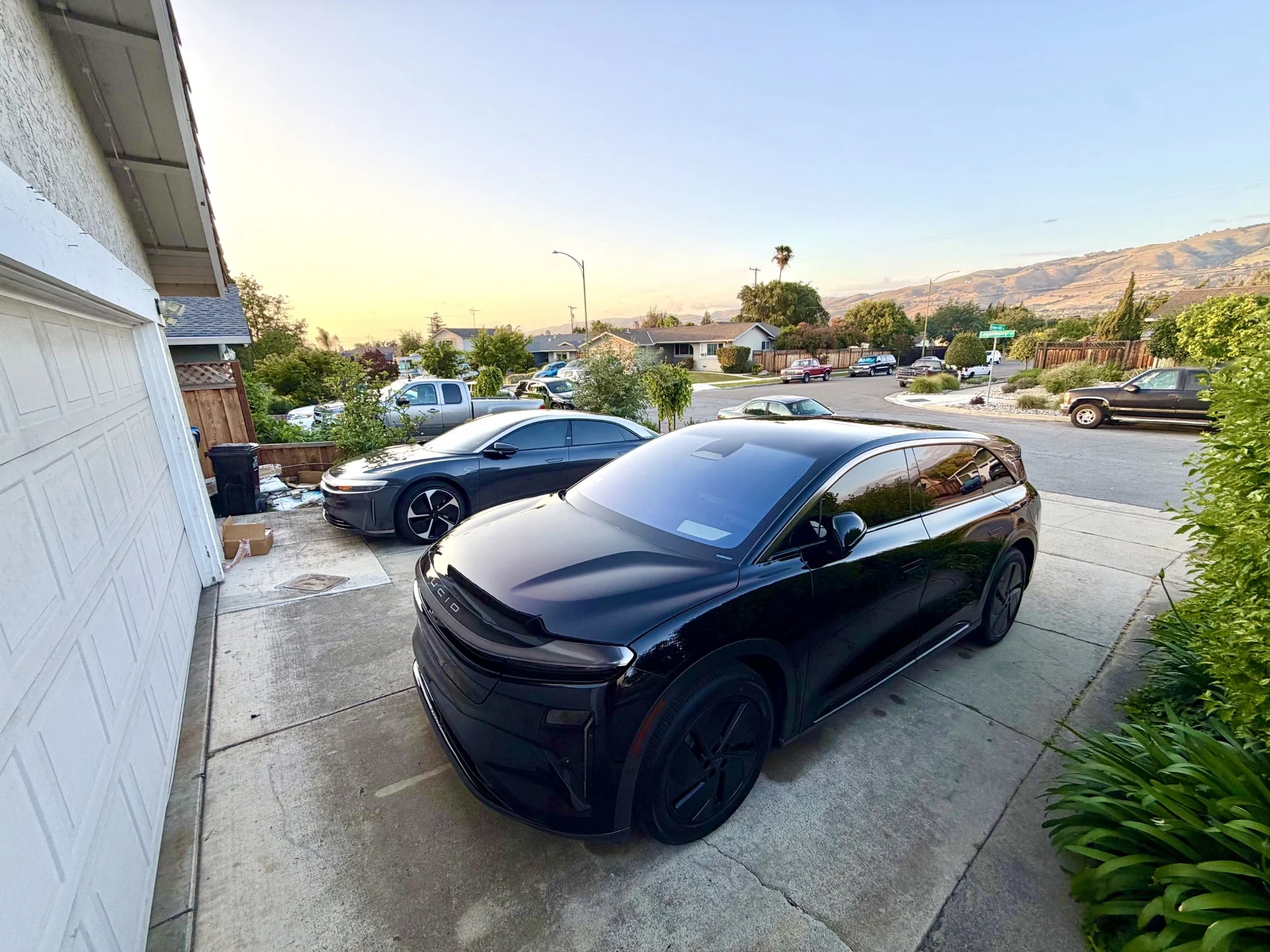 whips.webp