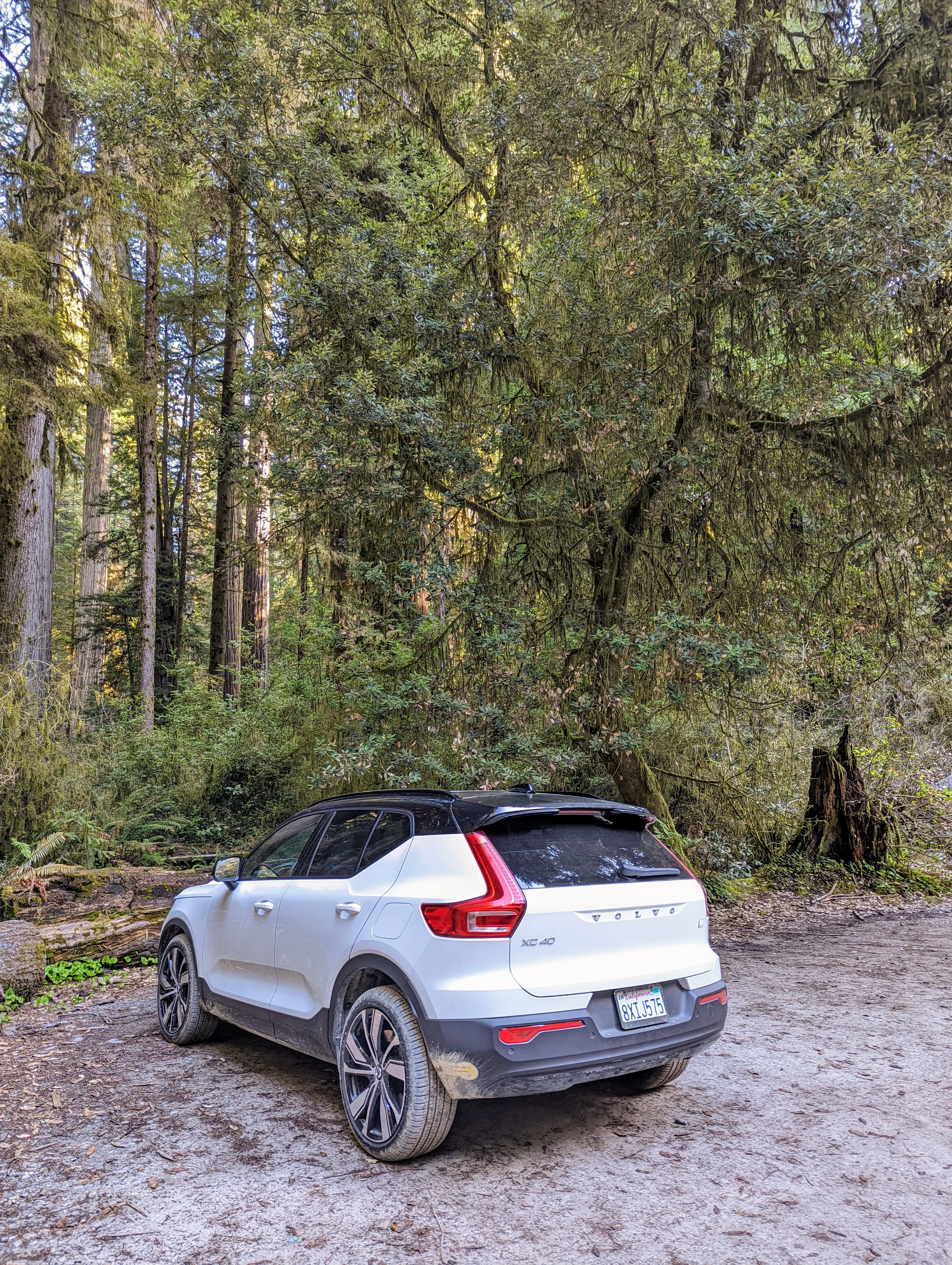 XC40 in woods.jpg