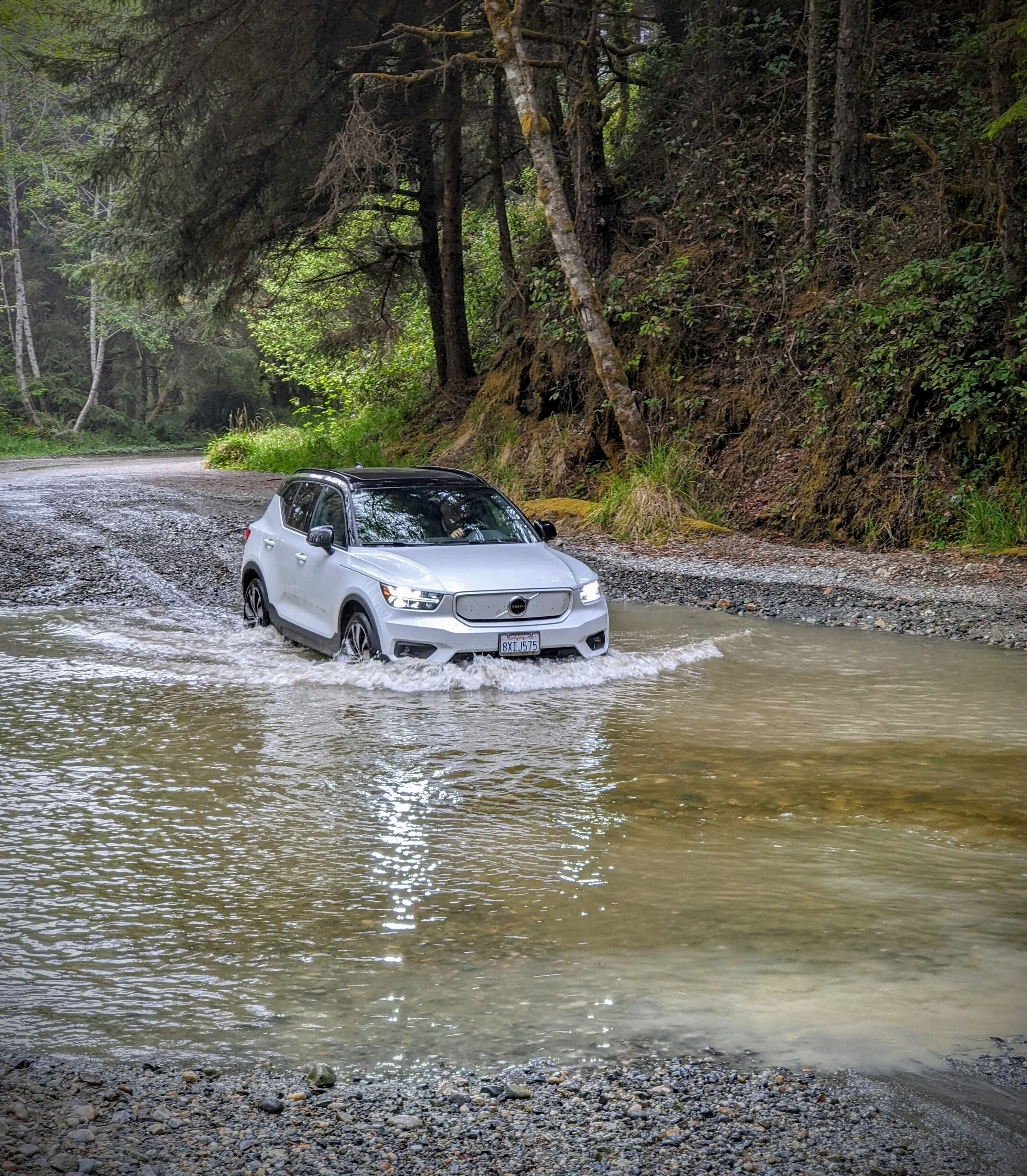 XC40 swimming.webp