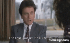 IMG_8626.gif