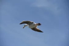 DSC_2143.webp