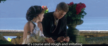 IMG_9318.gif