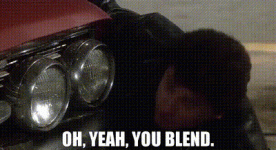IMG_9320.gif
