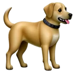 1749389199222.webp