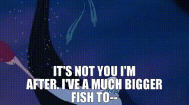 IMG_0847.gif