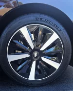 Bear wheel.webp