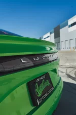 GreenLucid-14.webp