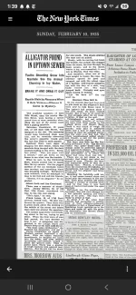 Screenshot_20250819_133909_NYTimes.webp