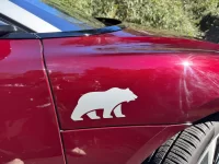 pax bear.webp