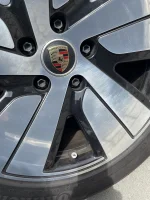 Tayacan Caps.webp