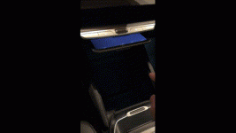 pilot panel issue.gif