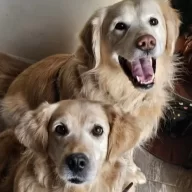 fpmacko