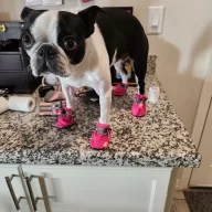 Chiquita