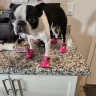 Chiquita