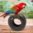 danceparrot